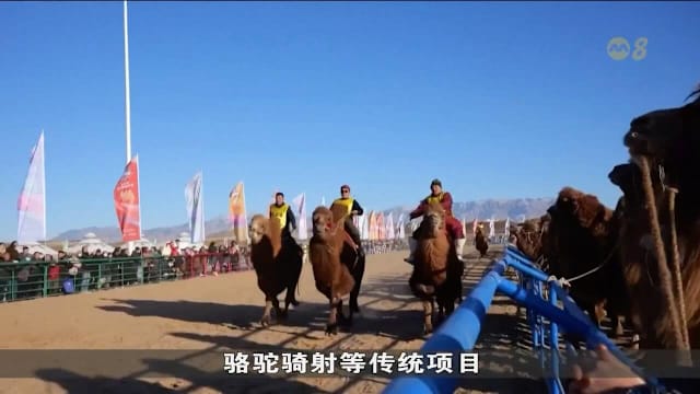 英文翻译双